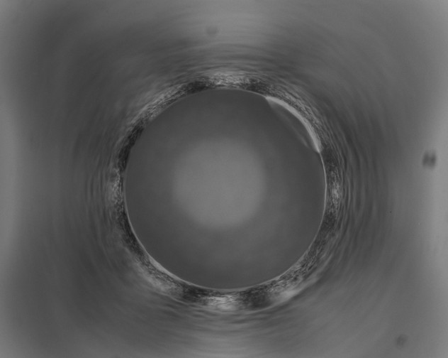 X0000097640411200803281127