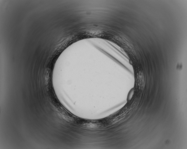 X0000097640412200803281127