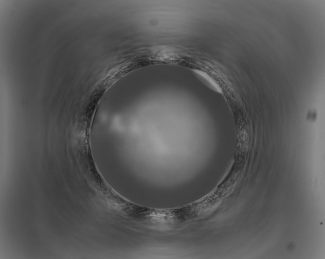 X0000097640415200803281127