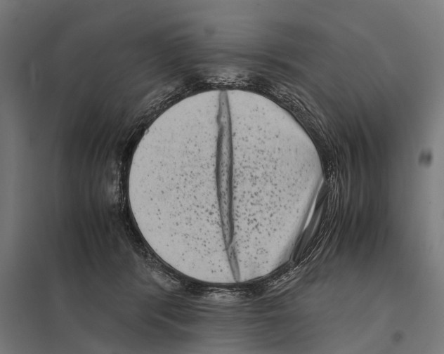 X0000097640416200803281127