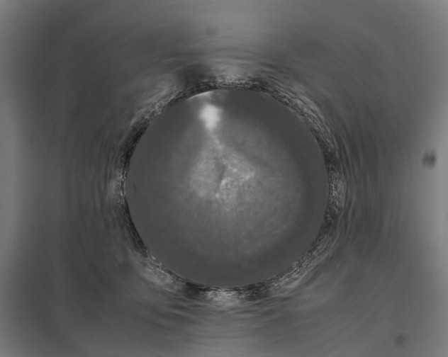 X0000097640419200803281127