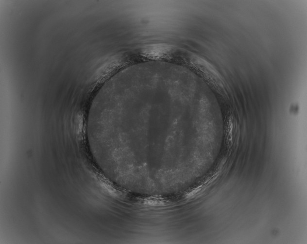 X0000097640420200803281127