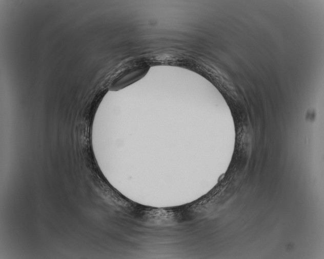 X0000097640421200803281127