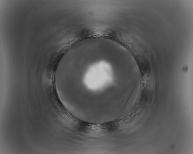 X0000097640423200803281127