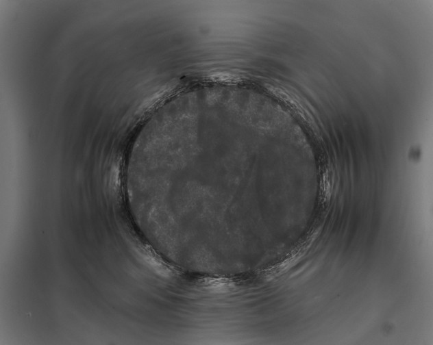 X0000097640424200803281127