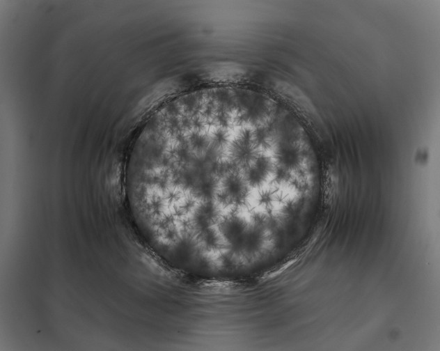 X0000097640428200803281127
