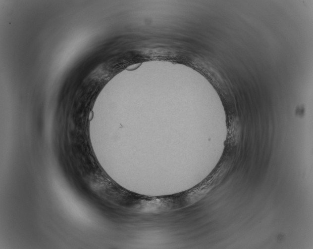 X0000097640430200803281127