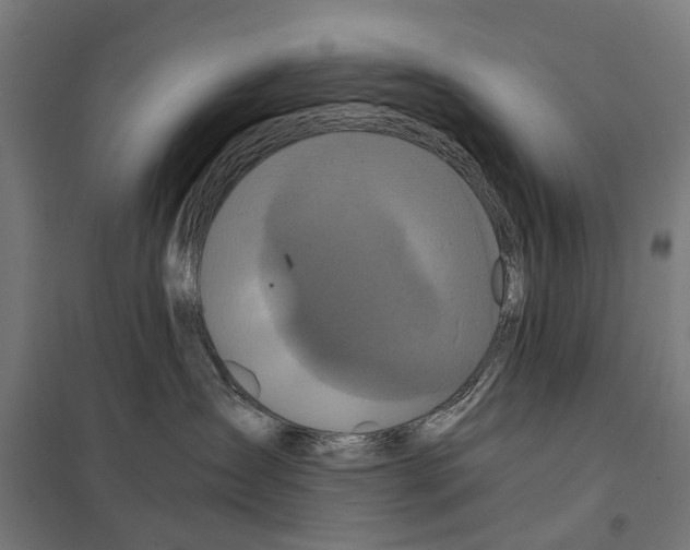 X0000097640431200803281127