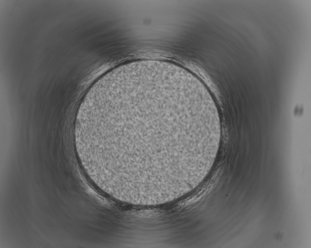 X0000097640433200803281126