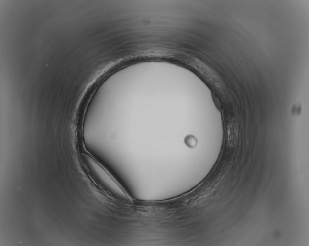 X0000097640436200803281126