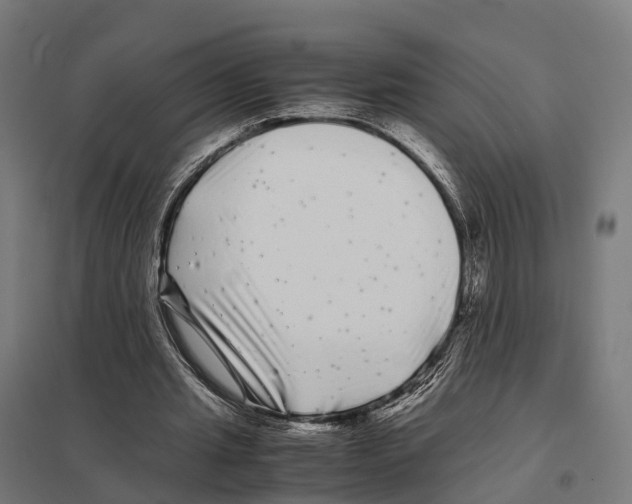 X0000097640437200803281126