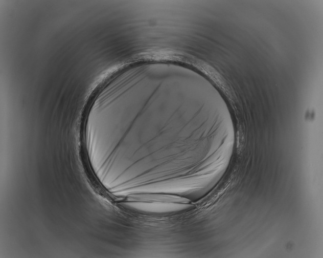 X0000097640438200803281126