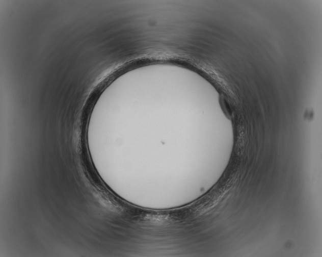 X0000097640440200803281126