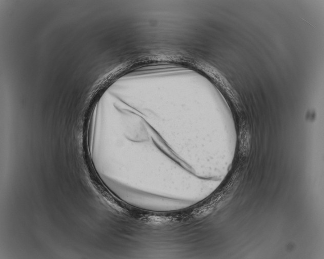 X0000097640442200803281126