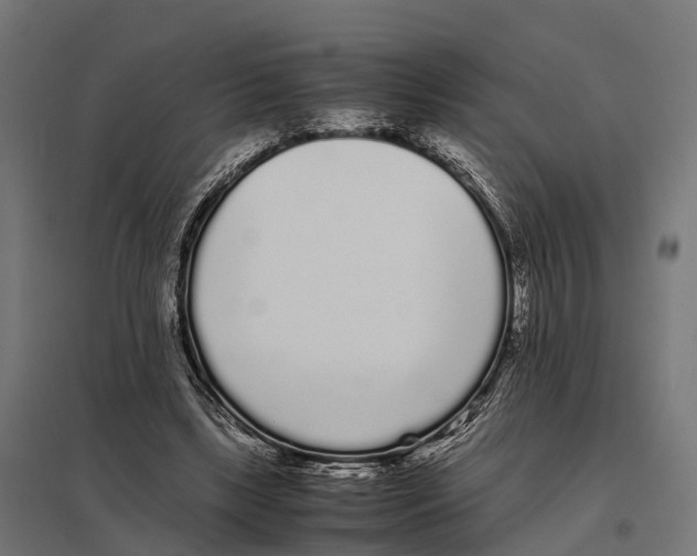 X0000097640443200803281126