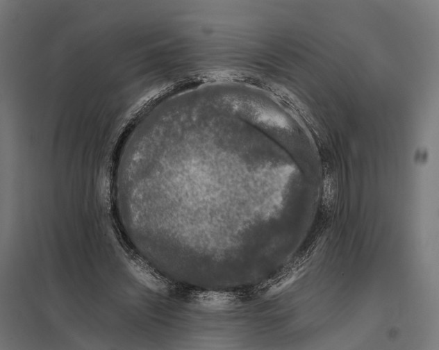 X0000097640444200803281126