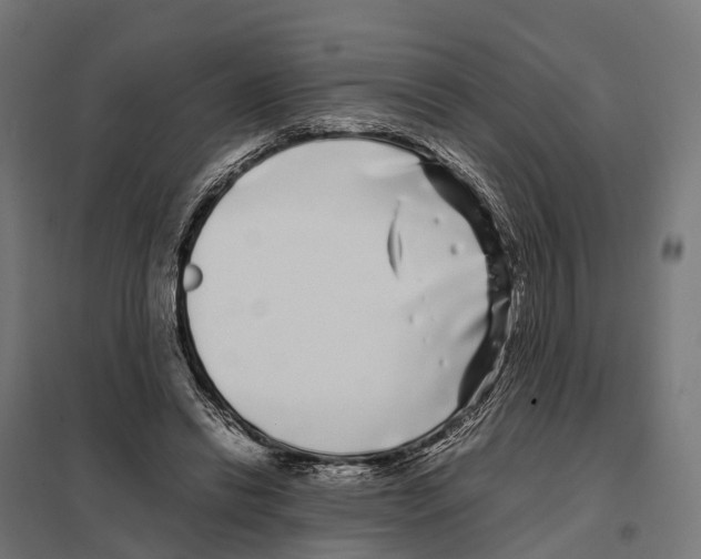 X0000097640446200803281126