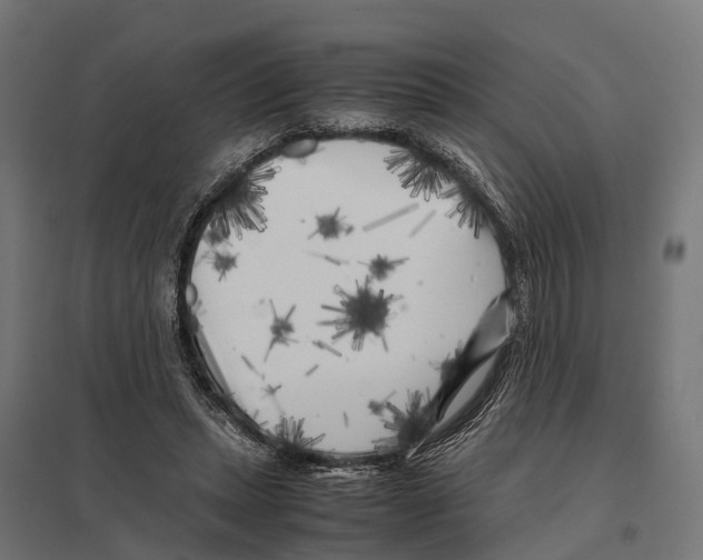 X0000097640447200803281126