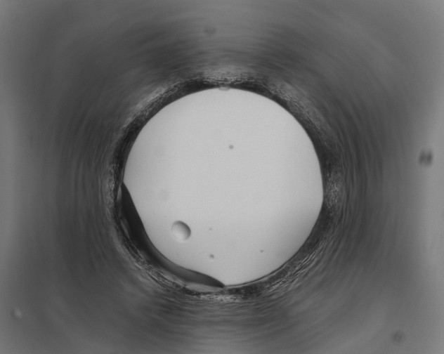 X0000097640448200803281127