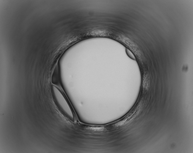 X0000097640449200803281127