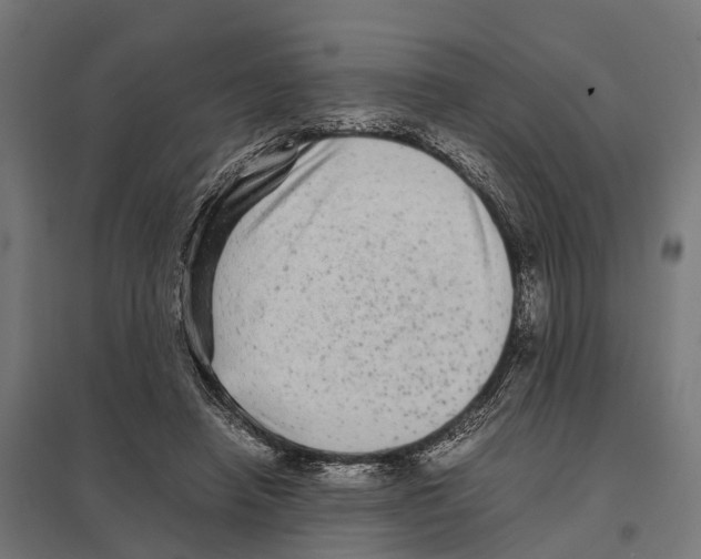 X0000097640450200803281127