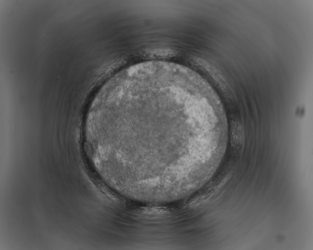 X0000097640451200803281127