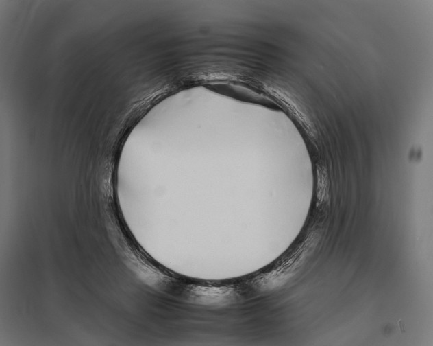 X0000097640453200803281127