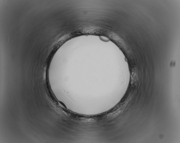 X0000097640454200803281127