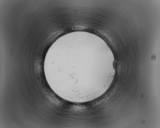 X0000097640455200803281127