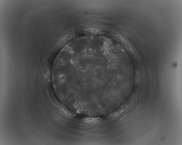 X0000097640465200803281127