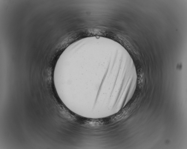 X0000097640466200803281127