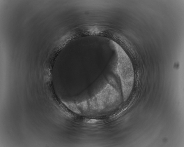 X0000097640467200803281127