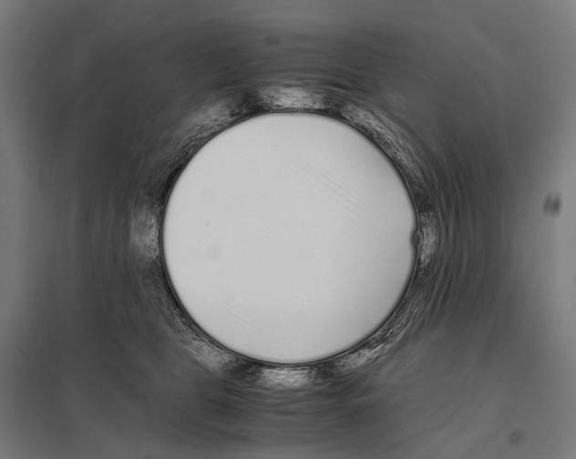 X0000097640469200803281127