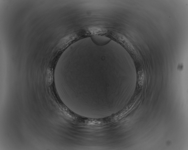 X0000097640471200803281127