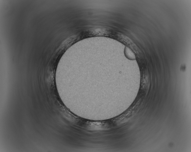 X0000097640473200803281127