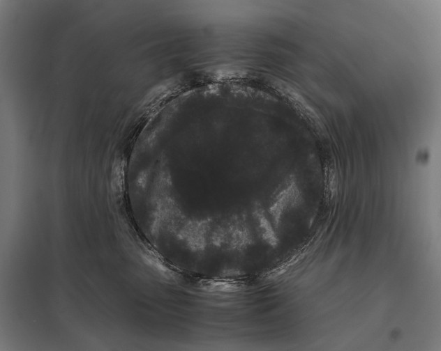 X0000097640475200803281127