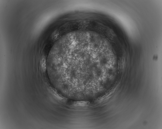X0000097640479200803281127