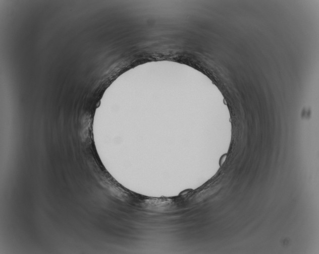 X0000097640480200803281127