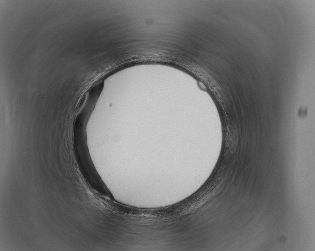 X0000097640481200803281126