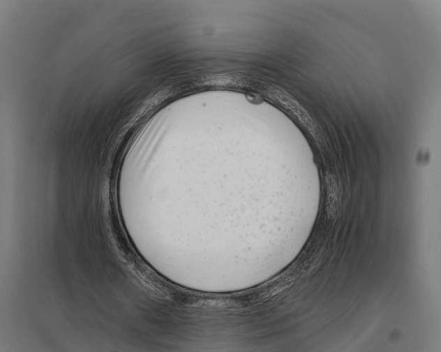 X0000097640482200803281126