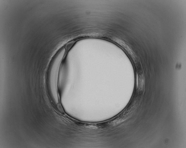 X0000097640483200803281126