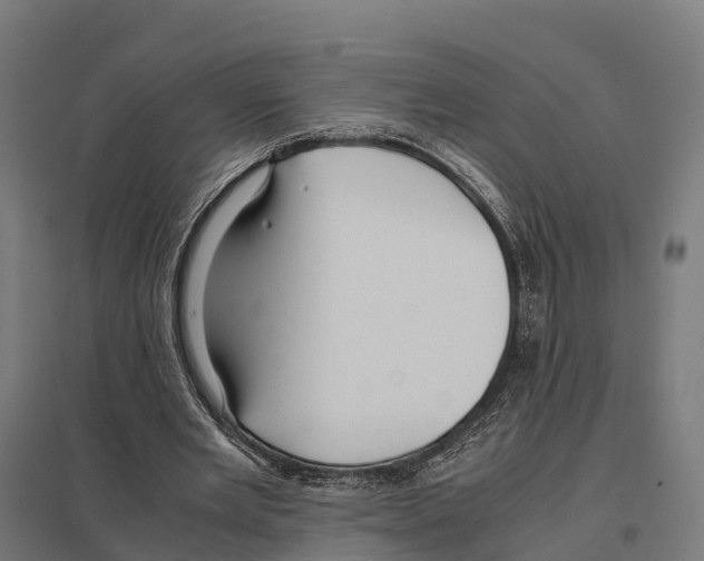 X0000097640485200803281126