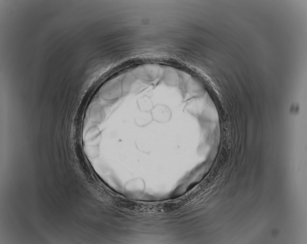 X0000097640487200803281126