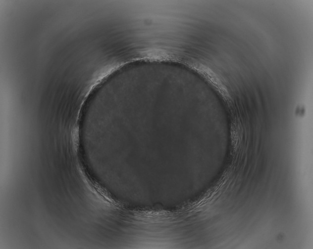 X0000097640488200803281126