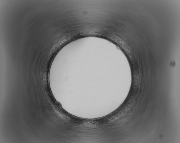 X0000097640489200803281126