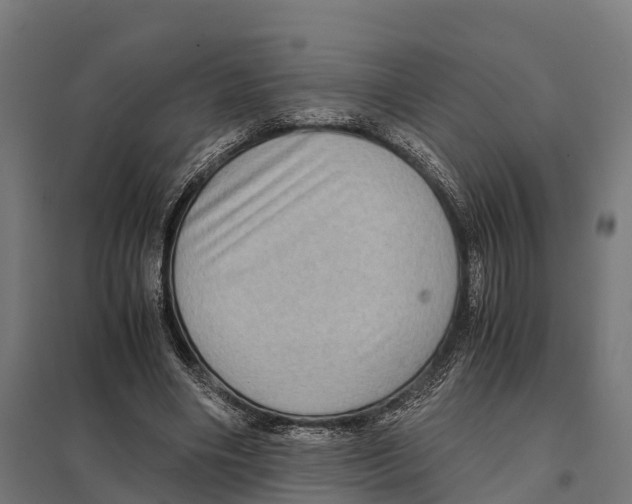 X0000097640490200803281126