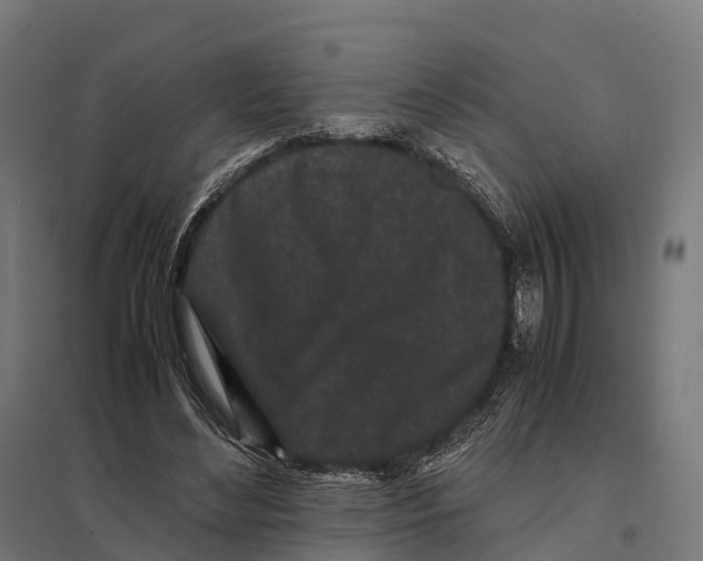 X0000097640492200803281126