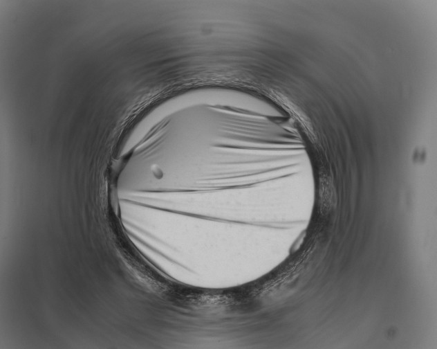 X0000097640493200803281126