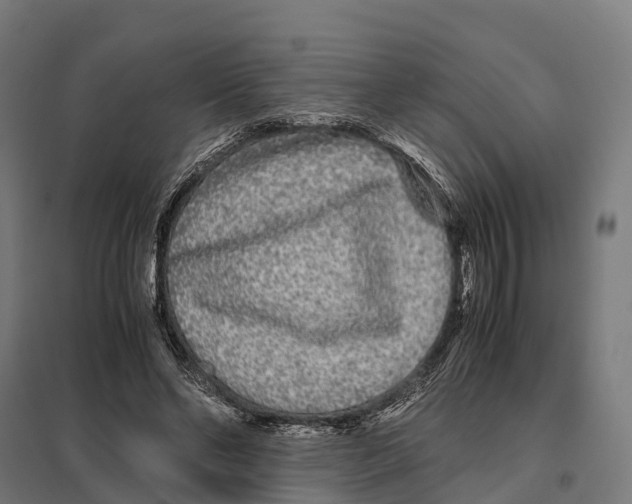 X0000097640494200803281126