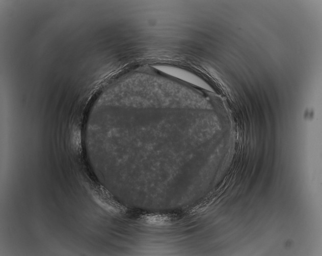 X0000097640500200803281126